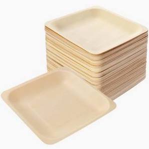 Palm SQUARE Plate 8” 100pc/Ctn